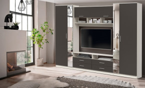 ШМЦ Вена  91.01 с зеркалом в Тогучине - togychin.mebelnovo.ru | фото